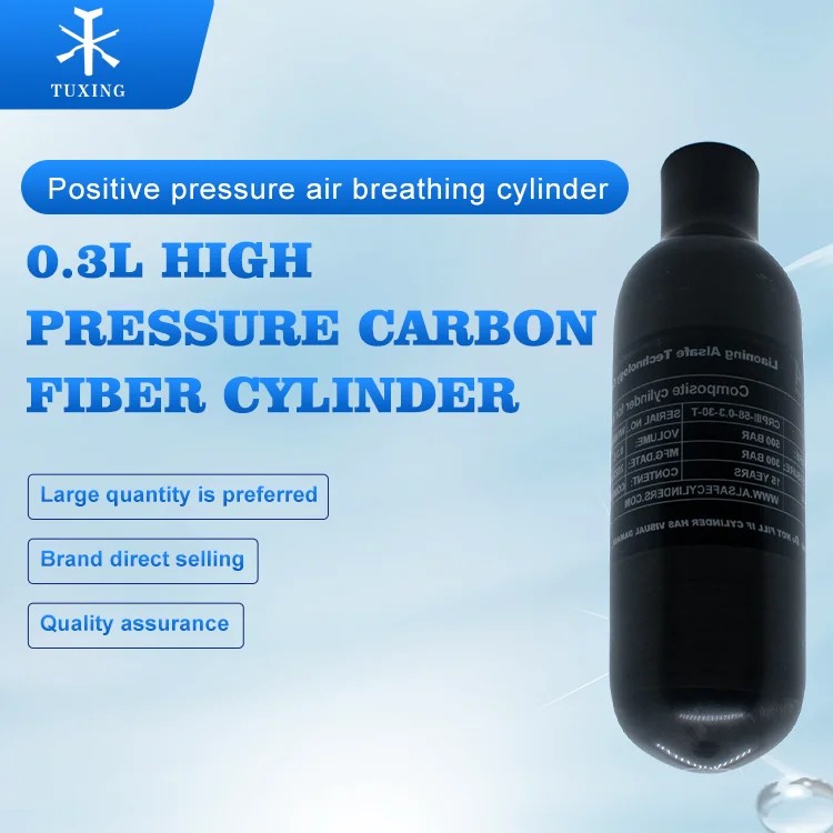 TUXING Hot Sale Air Tank